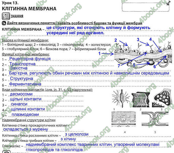 Відповіді Зошит Біологія 9 клас Соболь. ГДЗ