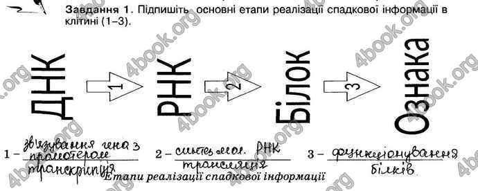 Відповіді Зошит Біологія 9 клас Андерсон 2017. ГДЗ