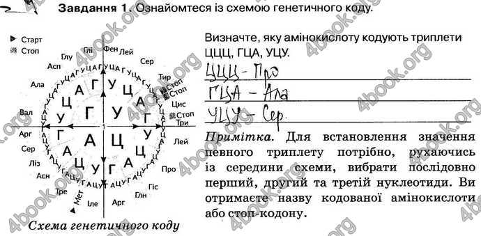 Відповіді Зошит Біологія 9 клас Андерсон 2017. ГДЗ