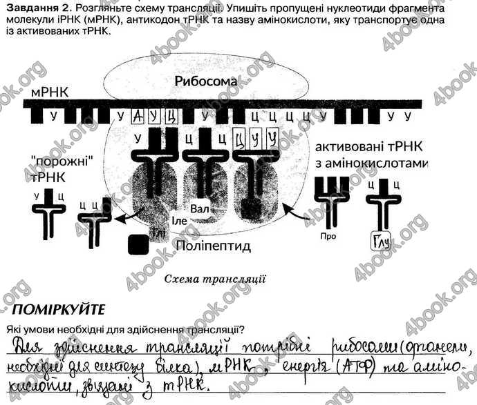 Відповіді Зошит Біологія 9 клас Андерсон 2017. ГДЗ