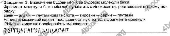 Відповіді Зошит Біологія 9 клас Андерсон 2017. ГДЗ