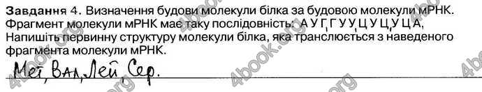 Відповіді Зошит Біологія 9 клас Андерсон 2017. ГДЗ