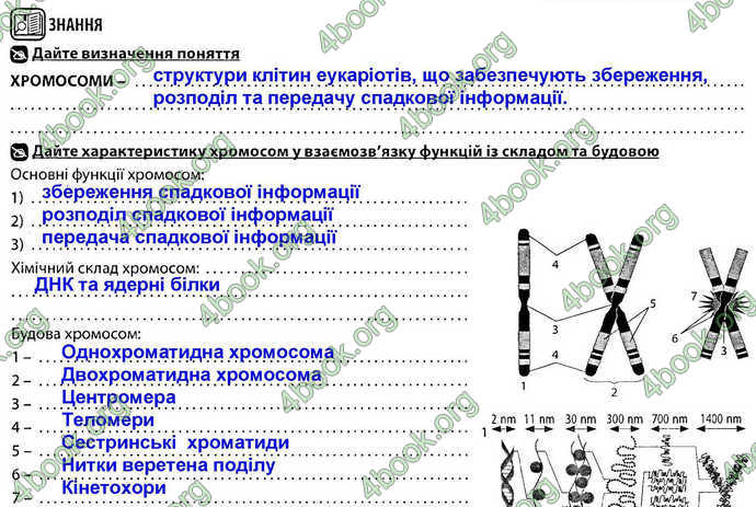 Відповіді Зошит Біологія 9 клас Соболь. ГДЗ