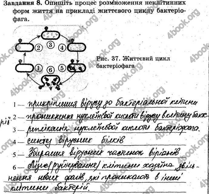 Відповіді Зошит Біологія 9 клас Сало. ГДЗ