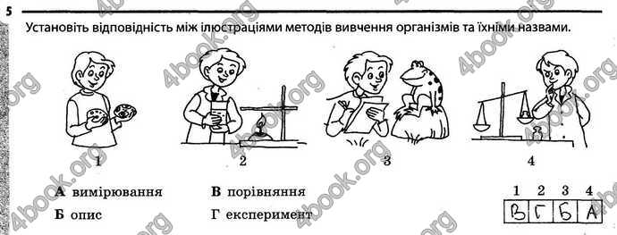 Відповіді Зошит Біологія 6 клас Задорожний. ГДЗ