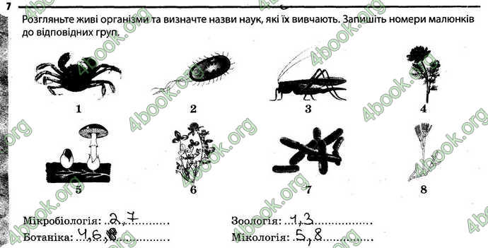 Відповіді Зошит Біологія 6 клас Задорожний. ГДЗ