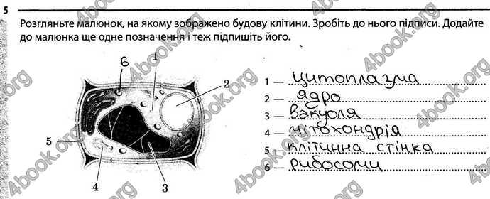 Відповіді Зошит Біологія 6 клас Задорожний. ГДЗ