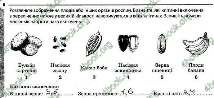 Відповіді Зошит Біологія 6 клас Задорожний. ГДЗ
