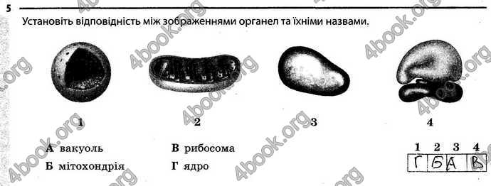 Відповіді Зошит Біологія 6 клас Задорожний. ГДЗ