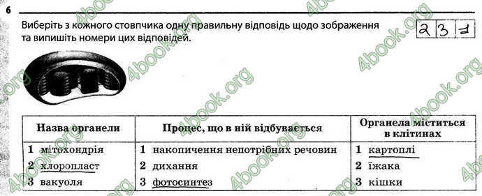 Відповіді Зошит Біологія 6 клас Задорожний. ГДЗ