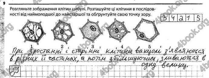 Відповіді Зошит Біологія 6 клас Задорожний. ГДЗ