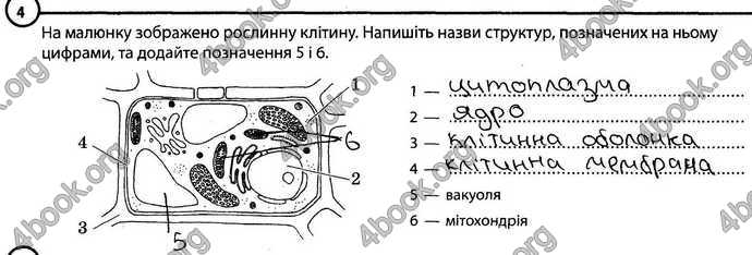 Відповіді Зошит Біологія 6 клас Задорожний. ГДЗ