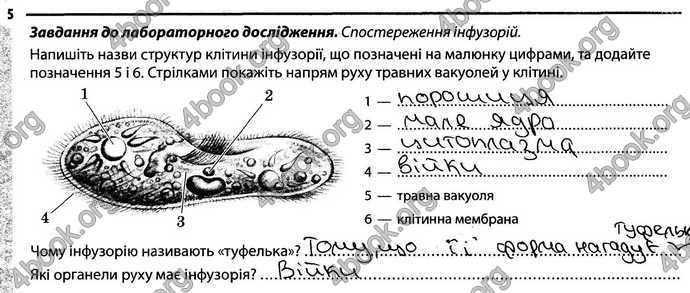 Відповіді Зошит Біологія 6 клас Задорожний. ГДЗ