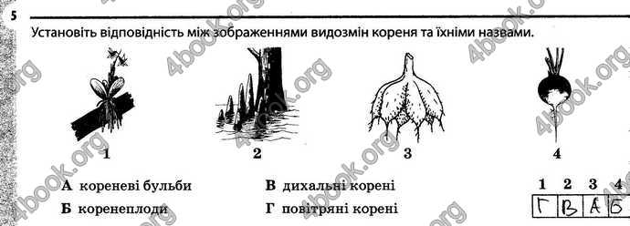 Відповіді Зошит Біологія 6 клас Задорожний. ГДЗ