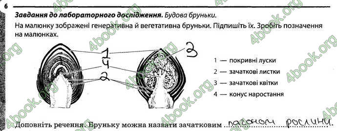 Відповіді Зошит Біологія 6 клас Задорожний. ГДЗ