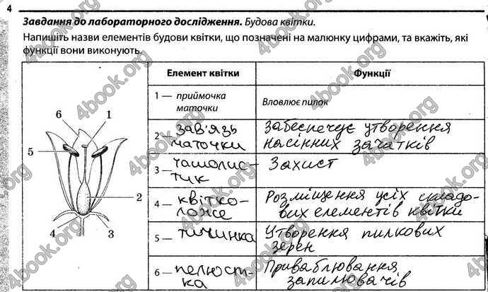 Відповіді Зошит Біологія 6 клас Задорожний. ГДЗ