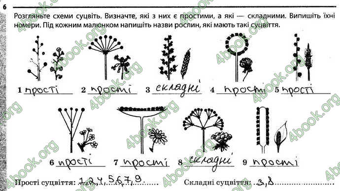 Відповіді Зошит Біологія 6 клас Задорожний. ГДЗ