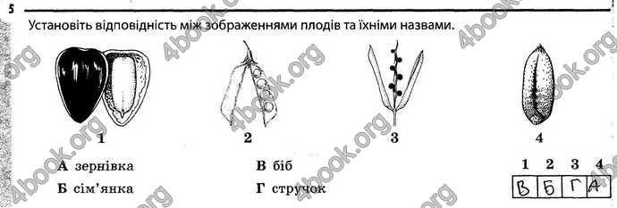 Відповіді Зошит Біологія 6 клас Задорожний. ГДЗ