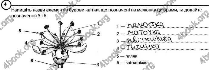 Відповіді Зошит Біологія 6 клас Задорожний. ГДЗ