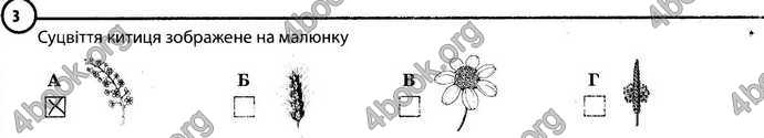 Відповіді Зошит Біологія 6 клас Задорожний. ГДЗ