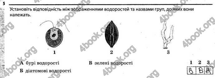 Відповіді Зошит Біологія 6 клас Задорожний. ГДЗ