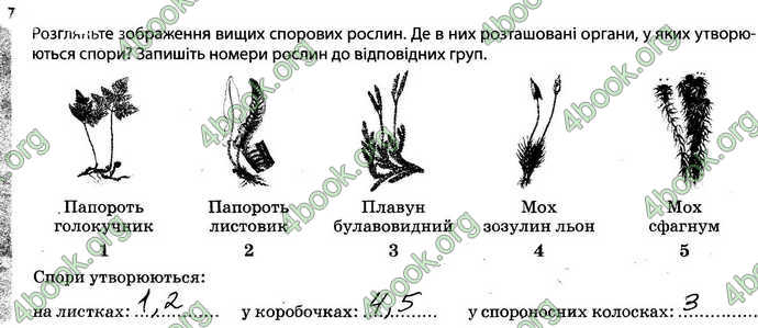 Відповіді Зошит Біологія 6 клас Задорожний. ГДЗ