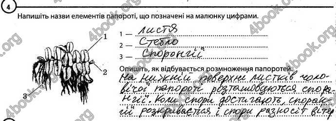 Відповіді Зошит Біологія 6 клас Задорожний. ГДЗ