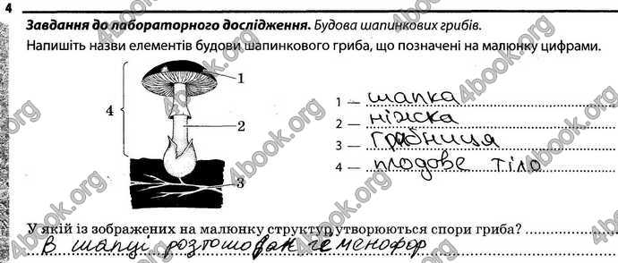 Відповіді Зошит Біологія 6 клас Задорожний. ГДЗ