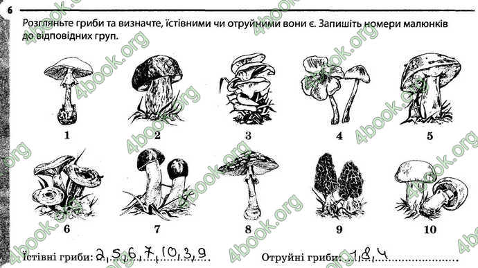 Відповіді Зошит Біологія 6 клас Задорожний. ГДЗ