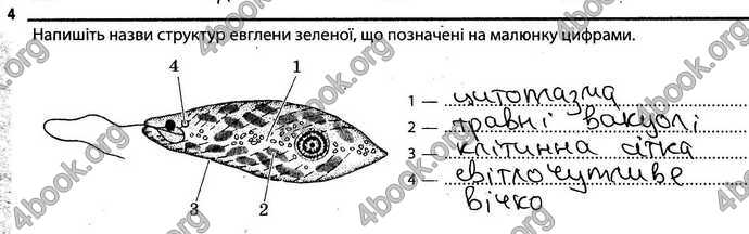 Відповіді Зошит Біологія 6 клас Задорожний. ГДЗ