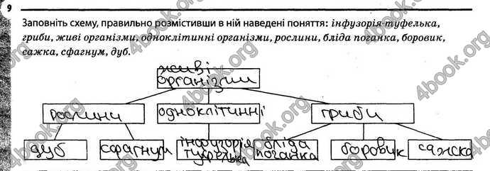 Відповіді Зошит Біологія 6 клас Задорожний. ГДЗ