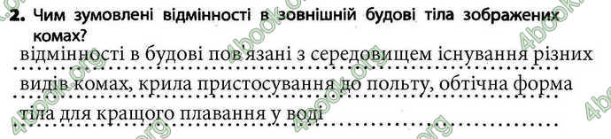 Відповіді Зошит Біологія 7 клас Безручкова. ГДЗ