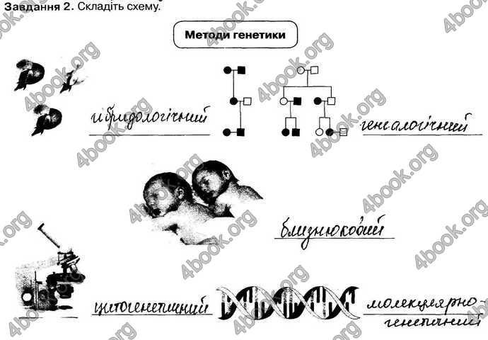 Відповіді Зошит Біологія 9 клас Андерсон 2017. ГДЗ