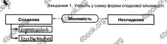 Відповіді Зошит Біологія 9 клас Андерсон 2017. ГДЗ