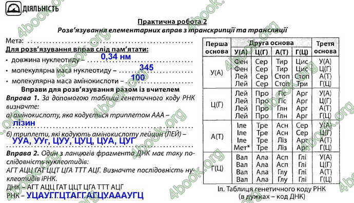 Відповіді Зошит Біологія 9 клас Соболь. ГДЗ