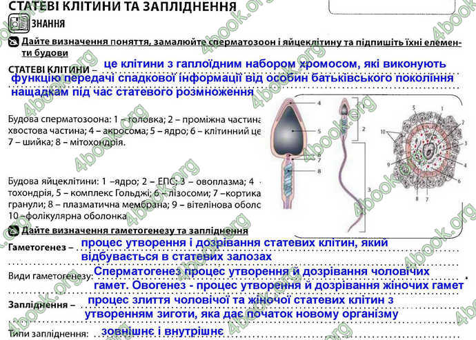 Відповіді Зошит Біологія 9 клас Соболь. ГДЗ