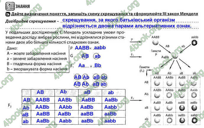 Відповіді Зошит Біологія 9 клас Соболь. ГДЗ