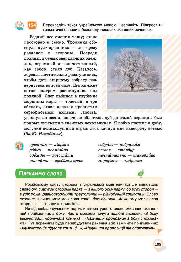 Українська мова 9 клас Ворон 2017 (Рус.)