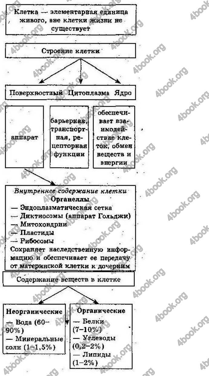 Ответы Биология 6 класс Костиков