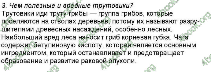 Ответы Биология 6 класс Костиков