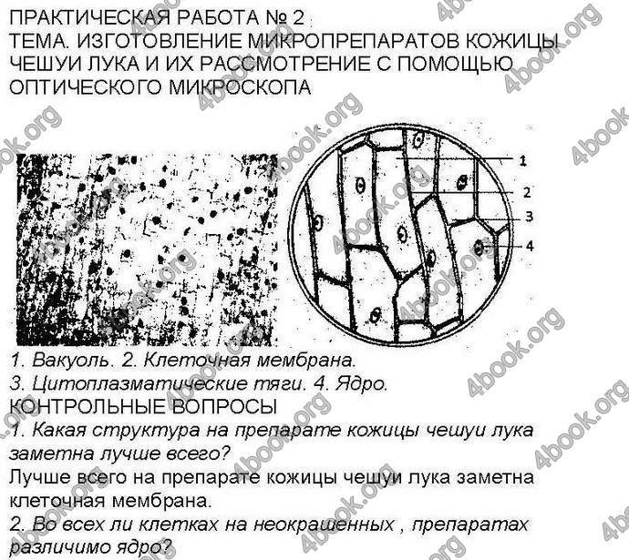 Ответы Биология 6 класс Костиков