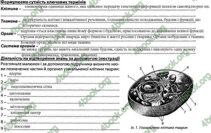 Відповіді Зошит Біологія 7 клас Соболь. ГДЗ