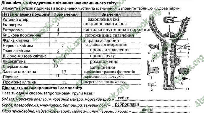 Відповіді Зошит Біологія 7 клас Соболь. ГДЗ