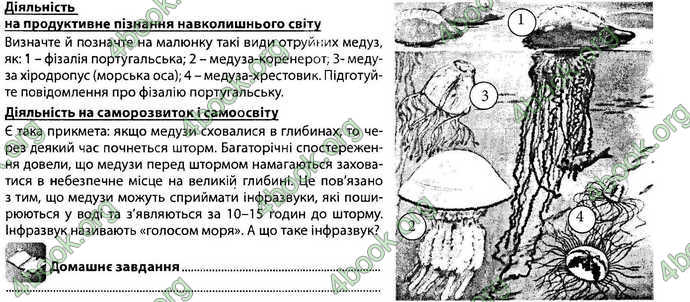 Відповіді Зошит Біологія 7 клас Соболь. ГДЗ