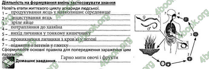 Відповіді Зошит Біологія 7 клас Соболь. ГДЗ