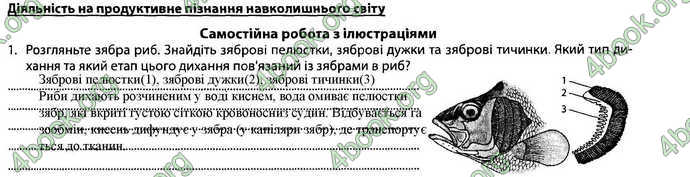 Відповіді Зошит Біологія 7 клас Соболь. ГДЗ