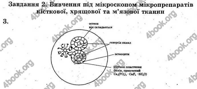 Відповіді Лабораторні Біологія 9 клас Котик 2014. ГДЗ