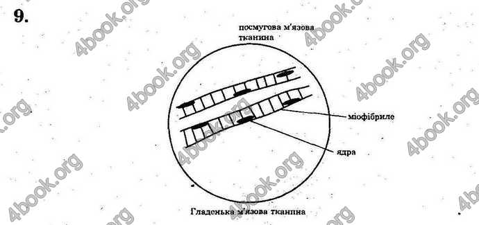 Відповіді Лабораторні Біологія 9 клас Котик 2014. ГДЗ