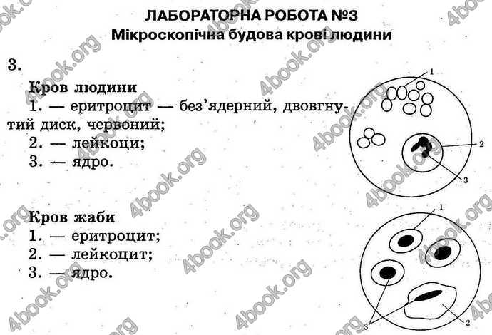 Відповіді Лабораторні Біологія 9 клас Котик 2014. ГДЗ