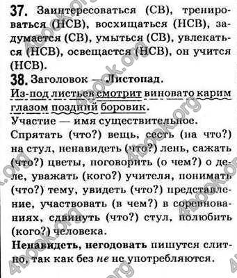 Відповіді Русский язык 7 класс Пашковская. ГДЗ